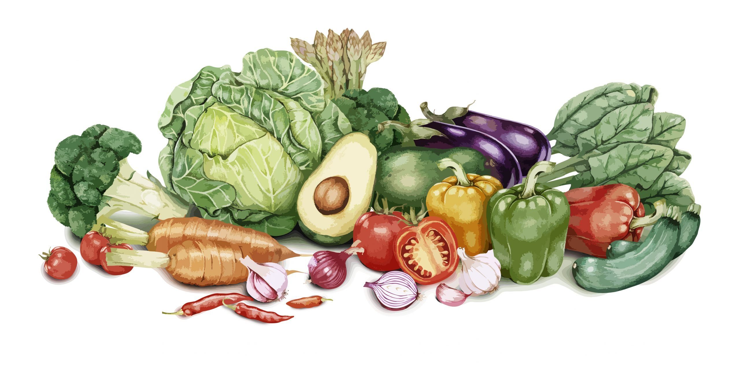 Hand drawn batch of vegetables